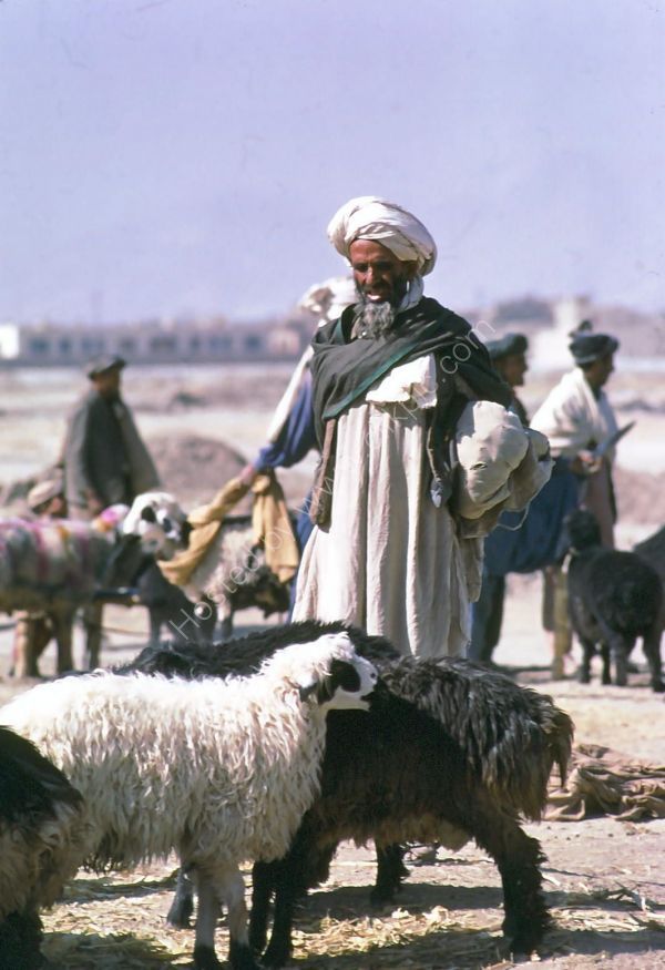 Afghani Farmer with Sheep, Camel Market, Kabul